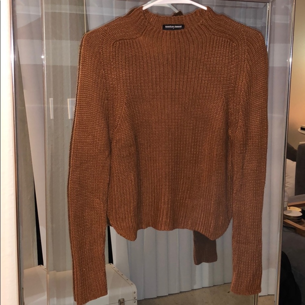 American Apparel Rust Cropped Sweater